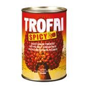Sauce graine de palme TROFAI Spicy 400 g