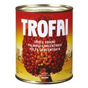 Sauce graine de palme TROFAI 800 g