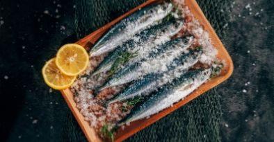 Conserves poisson, bœuf & volaille